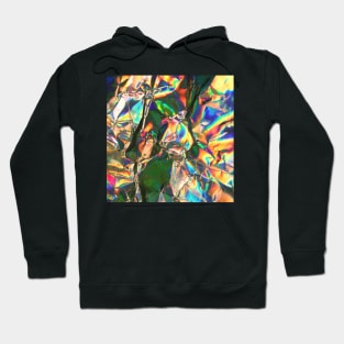 Chasmata Hoodie